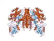 Transferrin receptor complex.