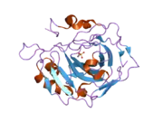 2nxr: Structural effects of hydrophobic mutations on the active site of human carbonic anhydrase II