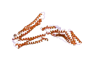 2oev: Crystal structure of ALIX/AIP1