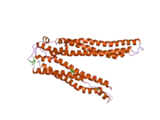 2ojq: Crystal structure of Alix V domain