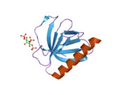 2p0d: ArhGAP9 PH domain in complex with Ins(1,4,5)P3