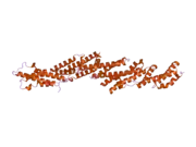 2pft: The Crystal Structure of Mouse Exo70 Reveals Unique Features of the Mammalian Exocyst