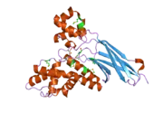 2q0z: Crystal structure of Q9P172/Sec63 from Homo sapiens. Northeast Structural Genomics Target HR1979.