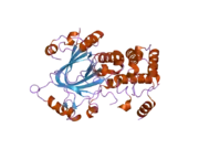 2yu2: Crystal structure of hJHDM1A without a-ketoglutarate