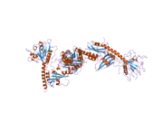 3brw: Structure of the Rap-RapGAP complex