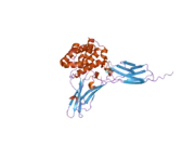 3dlq: Crystal structure of the IL-22/IL-22R1 complex