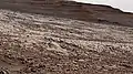 "Gator-Back" rocks − closeup as viewed by the Curiosity rover (March 15, 2022).