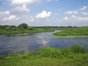 Postomia River in the Ujście Warty NP