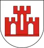 Coat of arms of Gmina Żychlin