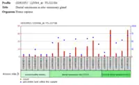 PRP36 Protein Presence in cells of a Ductal Carcinoma of the Mammary Gland.