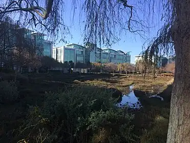 Pond inside the center