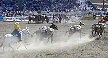 photo of packer's scramble event at Bishop Mule Days