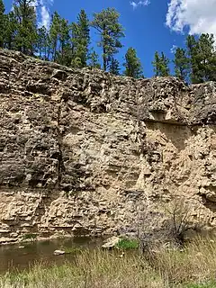 A hundred foot cliff of white limestone that shades to grey at the top rises above a small creek. Small pines and swallow nests line the nock of the eroding cliff face. The top of the cliff boasts tall pines and grasses.