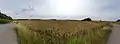 A panoramic view of fields in Sutton-on-Trent