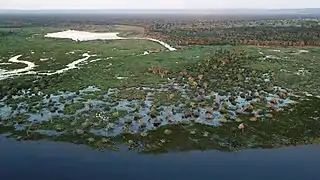 Pantanal in Mato Grosso