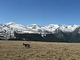 Parâng alpine scenery