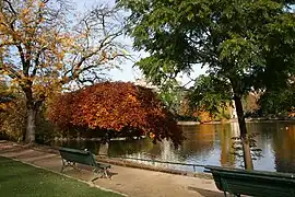 Weeping beech trees in Parc Montsouris, (1867-1869)