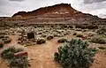 Inside the Pariah, Utah ghost town cemetery.