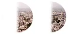 Paris as seen with left homonymous hemianopsia