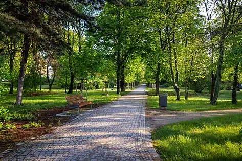 View of the renovated Ludowy Park