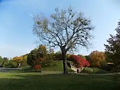 Cytadela Park in autumn