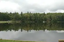 A line of trees reflected in a still lake under a cloudy sky