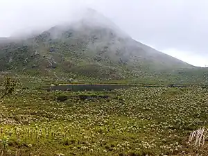 Clouds over Chingaza National Park