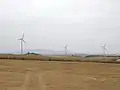 Wind farm