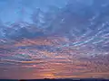 Altocumulus at sunset