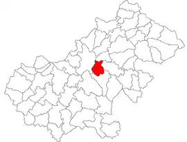 Location in Satu Mare County