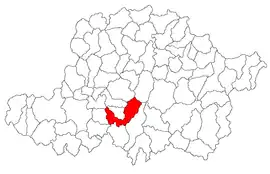 Location in Arad County