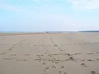 The beach at Holkham National Nature Reserve