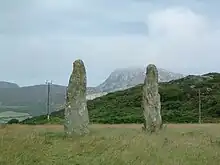 Penrhos Feilw standing stones