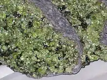 Light green olivine crystals in peridotite xenoliths in basalt from Arizona