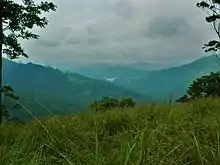 The misty mountain ranges of the Periyar region