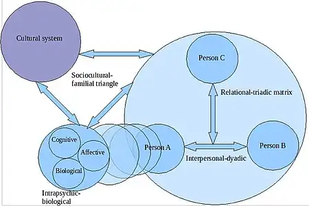 Personality systematics