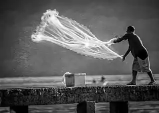 Fisherman throwing a net