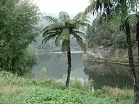 Upriver near Jerusalem (Hiruharama)