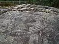 Cup-and-ring mark at Monte Tetón, Tomiño, the largest one in Galicia