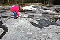 Petroglyphs in Zalavruga, Belomorsk, Karelia, Russia