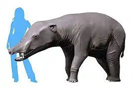 Life reconstruction of Phiomia serridens[citation needed]