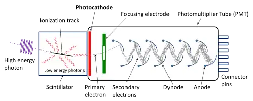 Photo Multiplier Tube And Scintillator