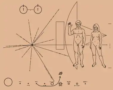 Illustration of the Pioneer plaque