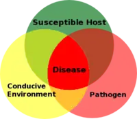 Plant disease triangle illustration