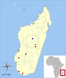 P. sp. was found in five sites in southern Madagascar; P. madagascariensis was found in four sites (one uncertain) in western and central Madagascar; both species were found in a site in central Madagascar.