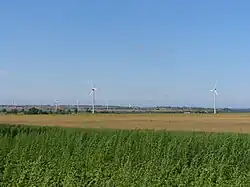 Fields in Połczyno