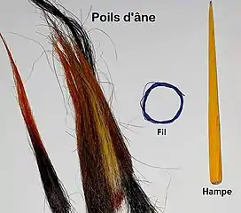 Donkey hair, wire and shaft for traditional brush making