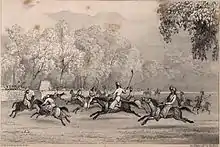 Drawing of polo ponies galloping