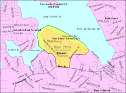 U.S. Census Map