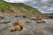 Cliffs and foreshore at Port Mulgrave looking north